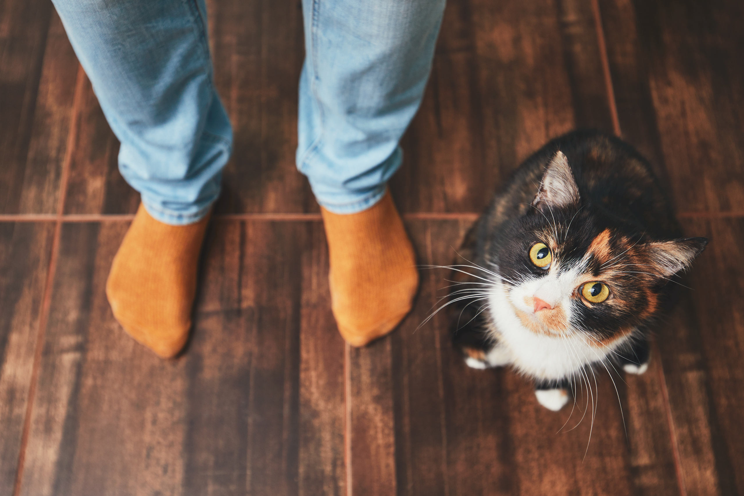 adobestock_190912896.jpg